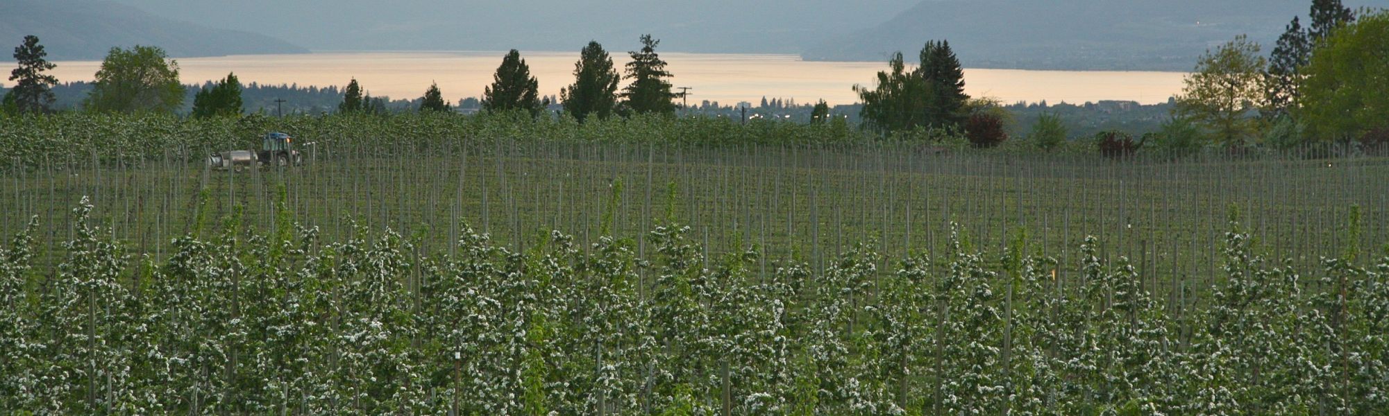 Cool Things to do in Kelowna in Summer Cool Things to do in Kelowna in Summer