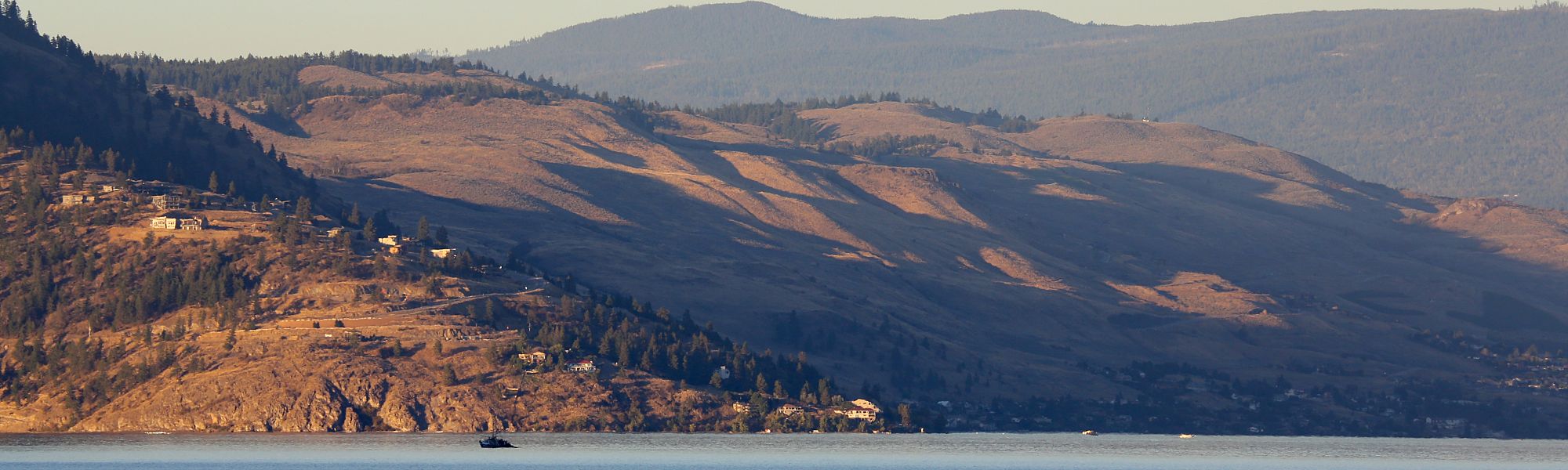 Lengthy legal battle over Summerland cherry variety comes to a close Lengthy legal battle over Summerland cherry variety comes to a close