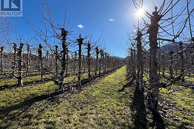 5028 Elliott Avenue Lot# 5 Peachland Photo 45