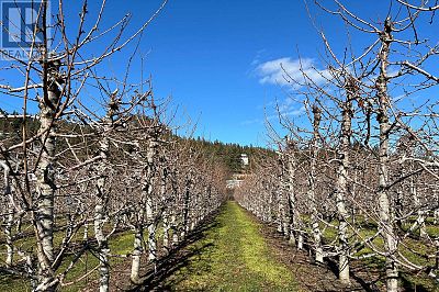 5028 Elliott Avenue Lot# 5 Peachland Photo 46